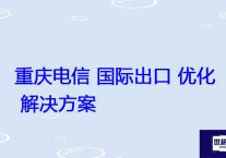 重庆电信 国际出口 优化？？？解决方案//世耕通信全球办公专网专线