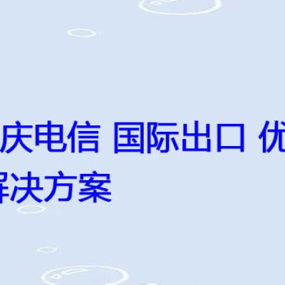 重庆电信 国际出口 优化？？？解决方案//世耕通信全球办公专网专线
