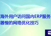 海外用户访问国内ERP服务器慢的网络优化技巧？？？解决方案//世耕通信全球ERP、OA办公专网专线