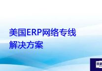 美国ERP网络专线？？？解决方案//世耕通信全球ERP、OA办公专网专线