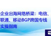 企业出海网络桥梁：电信、联通、移动BGP跨国专线实操指南？？？解决方案//世耕通信全球办公专网专线
