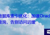 数据库索引优化：加速Oracle查询，告别访问迟缓？？？解决方案//世耕通信全球办公专网专线