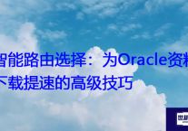 智能路由选择：为Oracle资料下载提速的高级技巧？？？解决方案//世耕通信全球办公专网专线