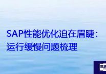 SAP性能优化迫在眉睫：运行缓慢问题梳理？？？解决方案//世耕通信全球办公专网专线