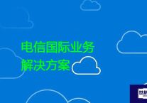 电信国际业务？？？解决方案//世耕通信全球办公专网专线