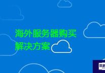 海外服务器购买？？？解决方案//世耕通信全球办公专网专线