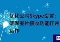 优化公司Skype设置：确保图片接收功能正常运作？？？解决方案//世耕通信全球办公Teams专网