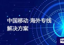 中国移动 海外专线？？？解决方案//世耕通信全球办公专网专线
