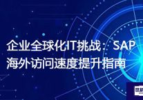 企业全球化IT挑战：SAP海外访问速度提升指南？？？解决方案//世耕通信全球办公专网专线