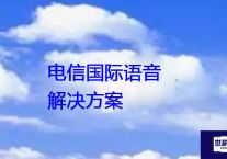 电信国际语音？？？解决方案//世耕通信全球办公专网专线