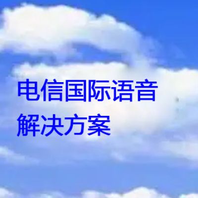 电信国际语音？？？解决方案//世耕通信全球办公专网专线