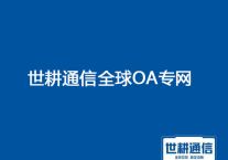 分支在越南，访问国内ERP、OA网络很卡 网络要求？？？解决方案//世耕通信全球办公专网