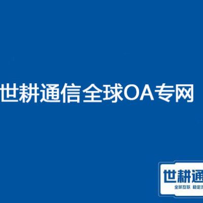 分支在越南，访问国内ERP、OA网络很卡 网络要求？？？解决方案//世耕通信全球办公专网