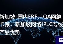 新加坡-国内ERP、OA网络卡顿，新加坡网络IPLC专线产品优势？解决方案//世耕通信全球ERP、OA办公专网专线