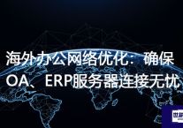 海外办公网络优化：确保OA、ERP服务器连接无忧？解决方案//世耕通信全球ERP、OA办公专网专线
