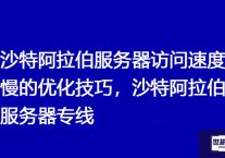 沙特阿拉伯服务器访问速度慢的优化技巧，沙特阿拉伯服务器专线？解决方案//世耕通信全球办公专网专线