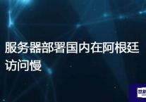 服务器部署国内在阿根廷访问慢？？？解决方案//世耕通信全球办公专网专线