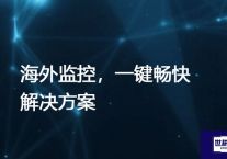 海外监控，一键畅快？？？？解决方案//世耕通信全球视频监控专网