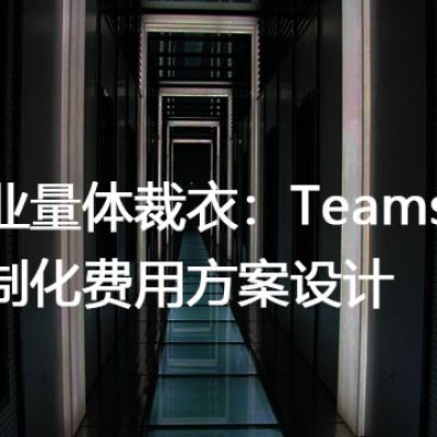 为企业量体裁衣：Teams企业版定制化费用方案设计？？？解决方案//世耕通信全球办公Teams专网