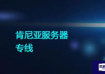 肯尼亚服务器专线？？？解决方案//世耕通信全球办公专网专线