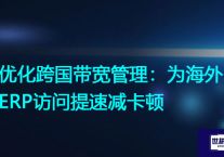优化跨国带宽管理：为海外ERP访问提速减卡顿？解决方案//世耕通信全球ERP、OA办公专网专线