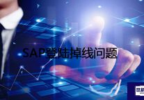 SAP登陆掉线问题？？？解决方案//世耕通信全球办公专网专线