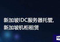 新加坡IDC服务器托管,新加坡机柜租赁 ？？？解决方案//世耕通信全球办公专网专线
