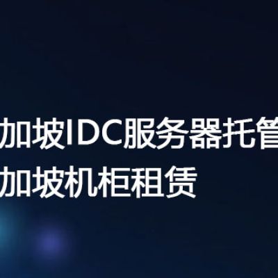 新加坡IDC服务器托管,新加坡机柜租赁 ？？？解决方案//世耕通信全球办公专网专线