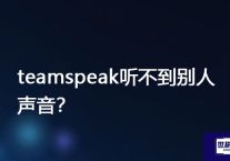 teamspeak听不到别人声音  ？？？解决方案//世耕通信全球办公Teams专网