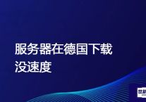 服务器在德国下载没速度 ？解决方案//世耕通信全球办公专网专线