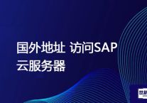 国外地址 访问SAP云服务器 ？？？解决方案//世耕通信全球办公专网专线