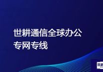 选择公网互通如何优化AWS中国和aws全球数据协作？？？解决方案//世耕通信全球办公专网专线
