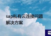 sap私有云连接问题 --解决方案//世耕通信全球办公专网专线