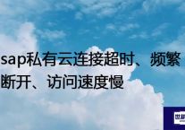 sap私有云连接超时、频繁断开、访问速度慢 --解决方案//世耕通信全球办公专网专线