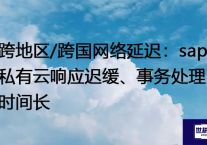 跨地区/跨国网络延迟：sap私有云响应迟缓、事务处理时间长 --解决方案//世耕通信全球办公专网专线