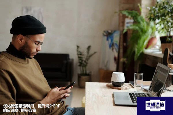 优化跨国带宽利用，提升海外ERP响应速度-- 解决方案//世耕通信全球ERP、OA办公专网专线