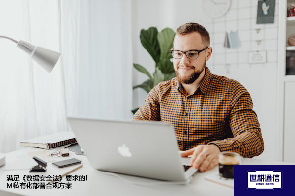 满足《数据安全法》要求的IM私有化部署合规方案--解决方案//世耕通信 即时通讯（IM）私有化部署