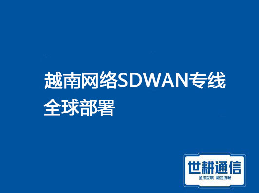 越南SDWAN全球部署.jpg