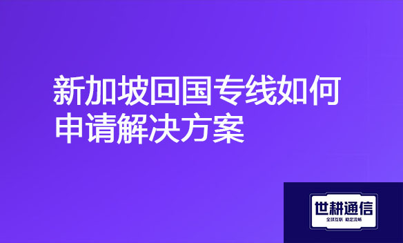 新加坡回国专线如何申请解决方案.jpg