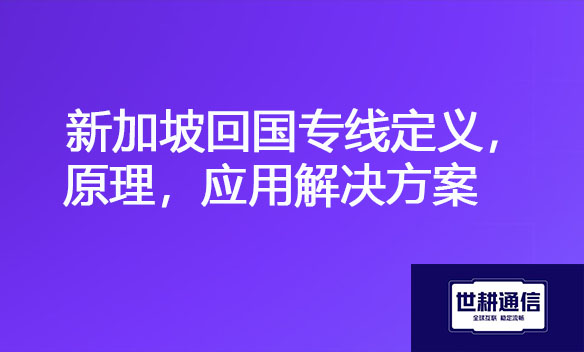 新加坡回国专线定义，原理，应用解决方案.jpg