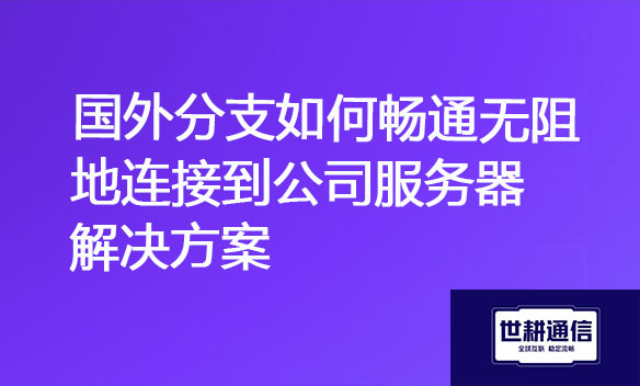 国外分支如何畅通无阻地连接到公司服务器解决方案.jpg 国外分支如何畅通无阻地连接到公司服务器解决方案.jpg