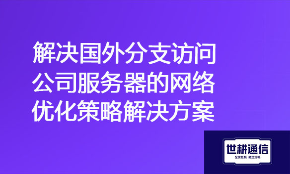 解决国外分支访问公司服务器的网络优化策略.jpg