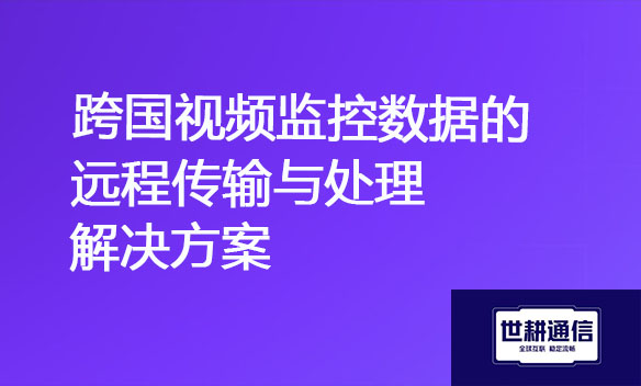 跨国视频监控数据的远程传输与处理.jpg
