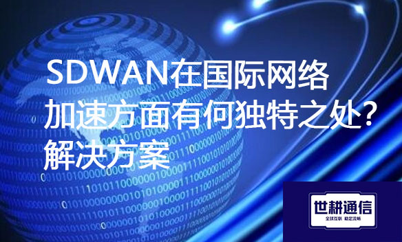 SDWAN在国际网络加速方面有何独特之处？解决方案.jpg
