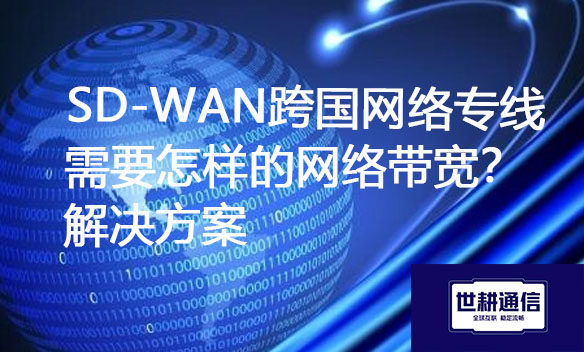 SD-WAN跨国网络专线需要怎样的网络带宽？解决方案.jpg