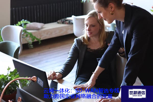 云网一体化：SD-WAN智选专线助力跨国企业网络融合的发展.jpg