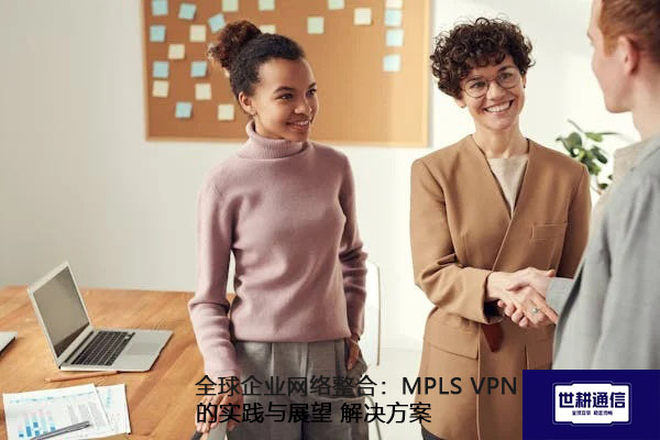 全球企业网络整合：MPLS VPN的实践与展望.jpg