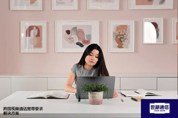 跨国视频通话宽带要求--解决方案/世耕通信全球视频专网专线