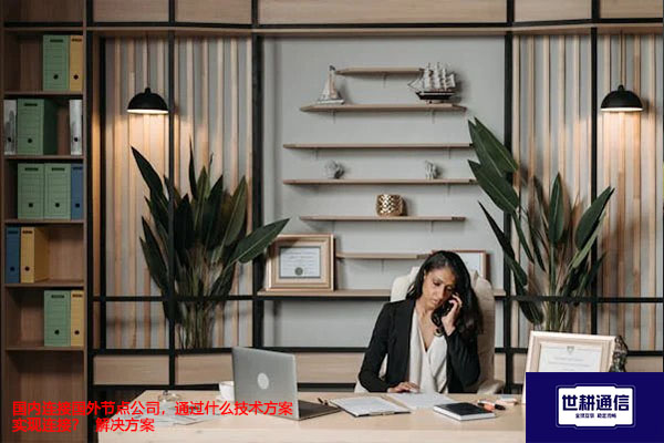 国内连接国外节点公司，通过什么技术方案实现连接？-解决方案//世耕通信全球办公专网专线