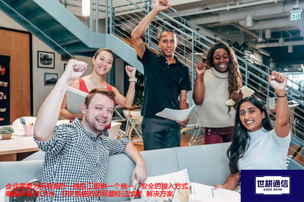 企业需要为所有海外员工提供一个统一、安全的接入方式，确保所有对CRM、ERP系统的访问都经过加密-解决方案//世耕通信全球办公专网专线